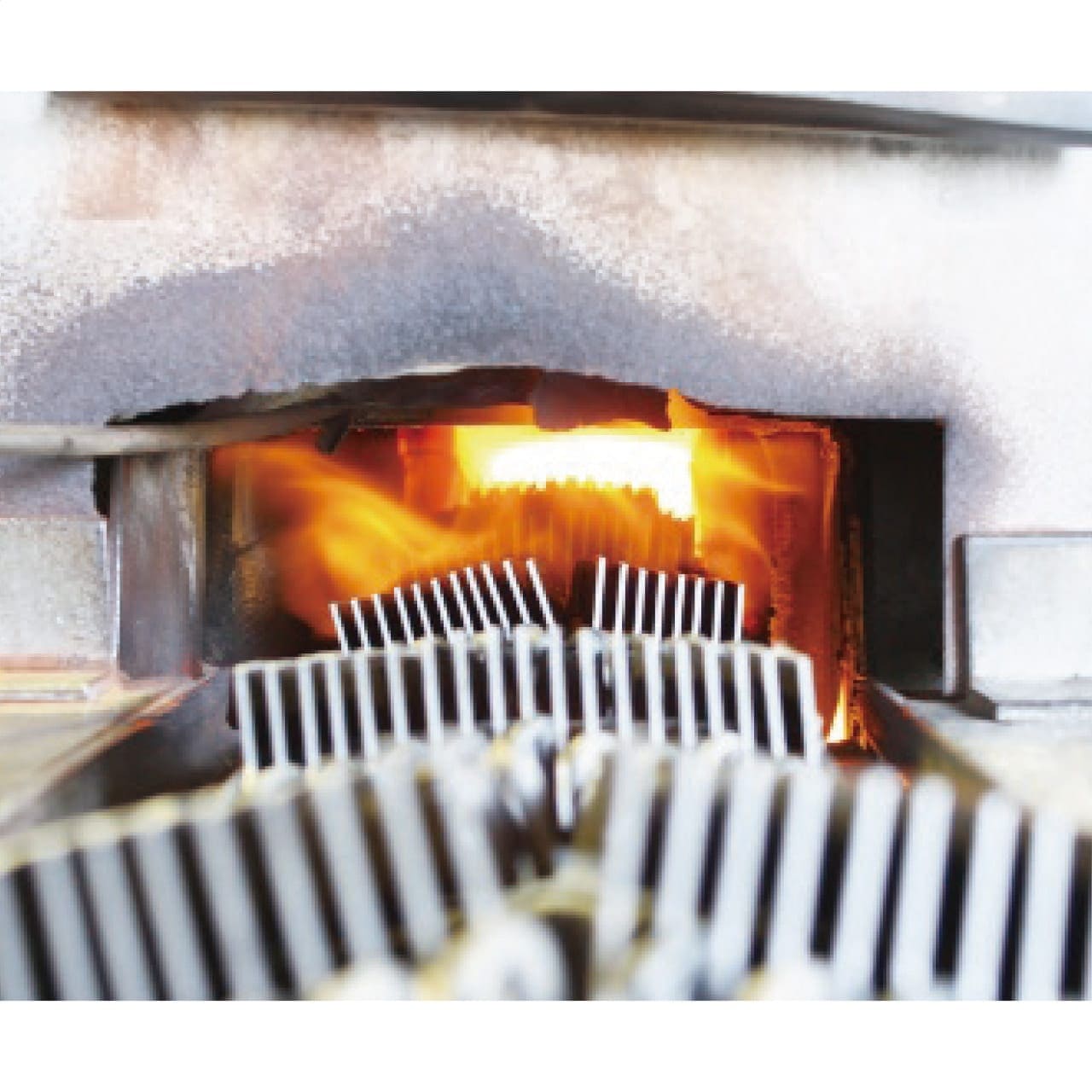 ���ޥ������� �������� ��ƣʿ