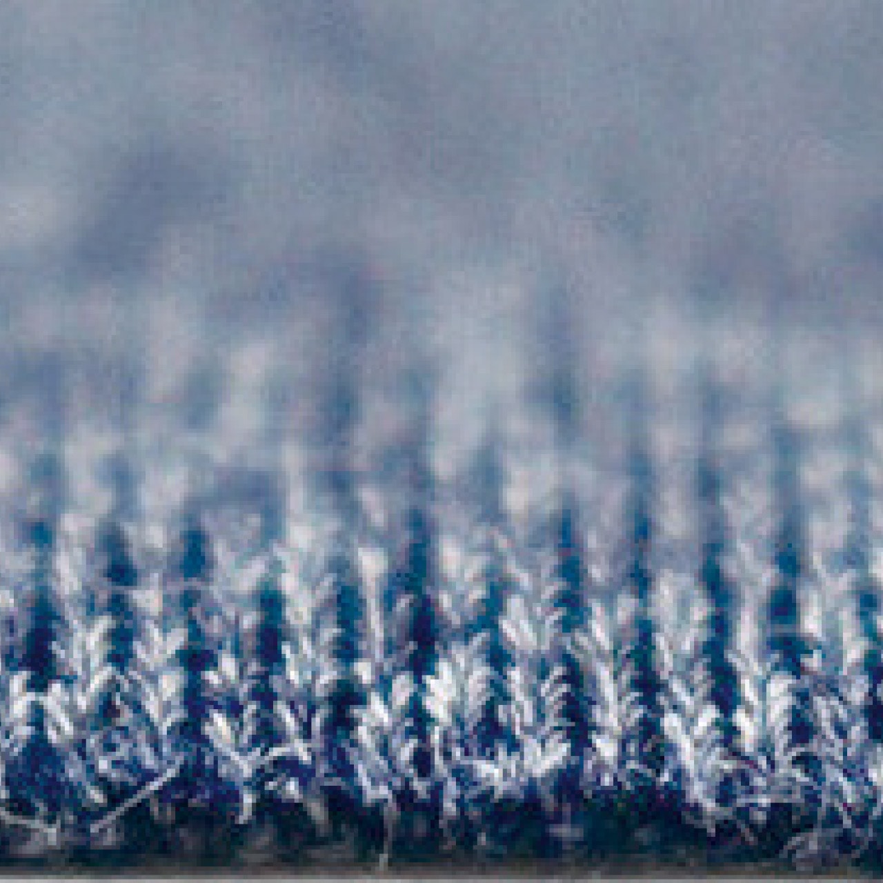 �ץ�ߥ���ۡ��륯�å���� �ͥ��ӡ� MOGU