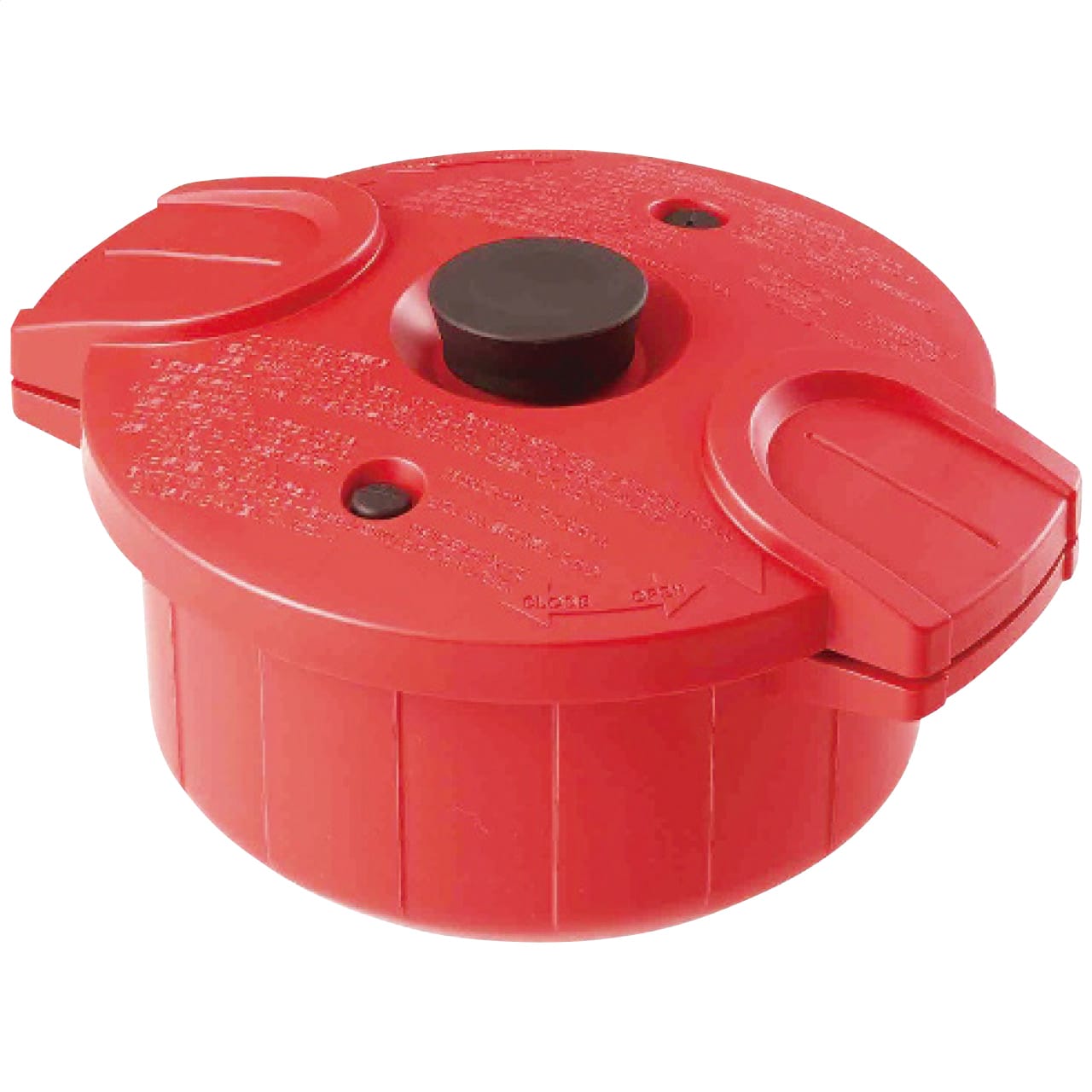 �Żҥ�� ������ 2.3L �ˤ�̣ ��å�