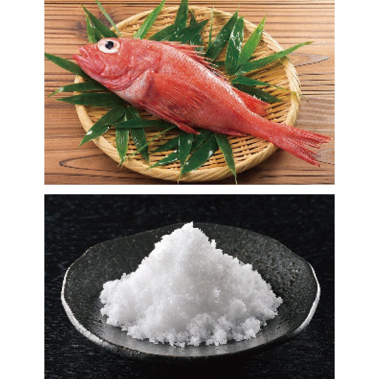 ����̾�� �����ޤܤ� �͹礻 E-17 ���