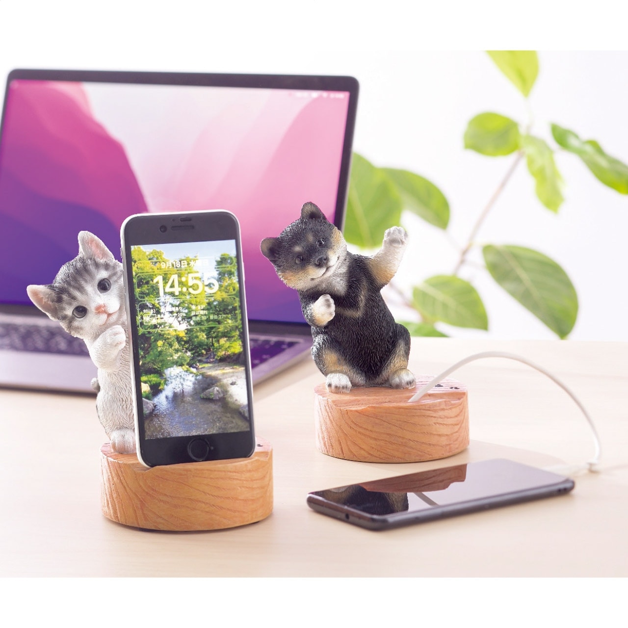 ���ޥۥ������ ������ �Ƹ�