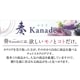 20%OFF̵  Kanade ʤʤФ˥ե/50,800ߥ