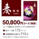 20%OFF̵  Kanade ʤʤФ˥ե/50,800ߥ