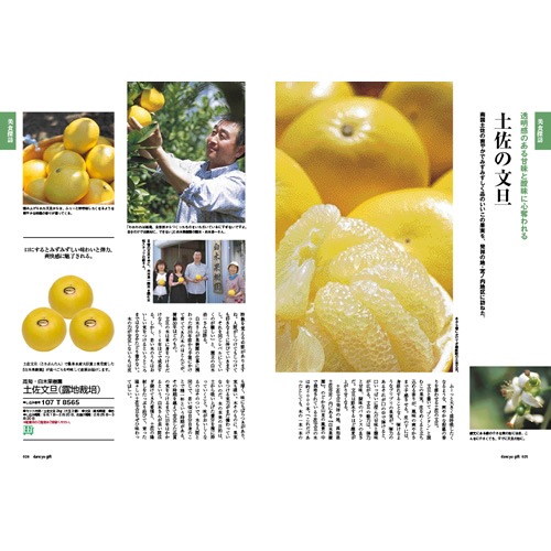 dancyu����᥮�եȥ�������  CA 6000��