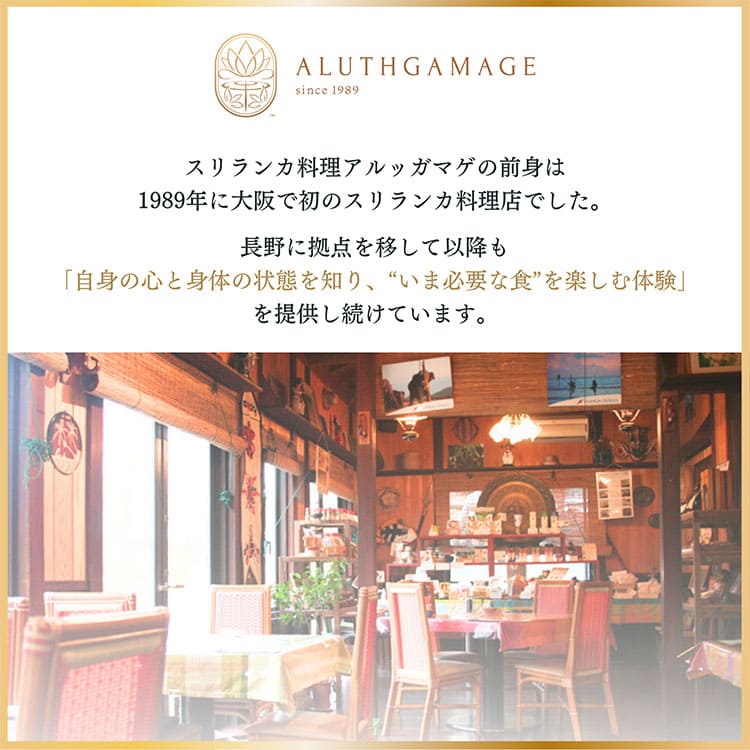 5�����ۥƥ륷���դ���ä� �ڥ��ե��ѡۥ����󥫥��졼5�ĥ��å� ������Хå��դ� �ϸ��͵�Ź ����å��ޥ�