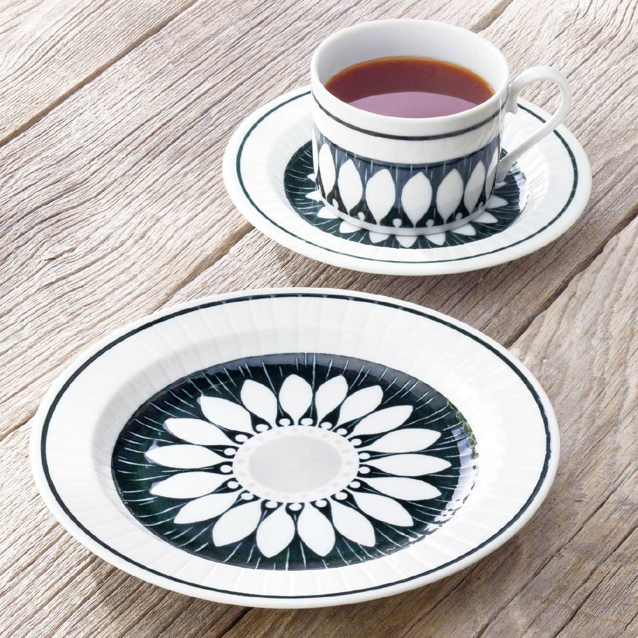 ����ƥ����ե� �ȥꥪ �������ץ졼�� ����ƥ���