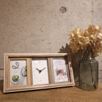 ��ɥ��/LADONNA�� �����դ��ե��ȥե졼��(L�ǡ�2��) �����ܥ꡼