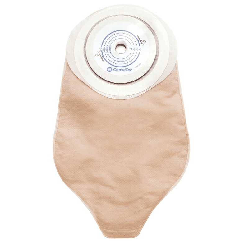 �����ƥ����ࡡ����Ĺ��������ǡˡ�10�硿Ȣ