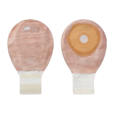 ��ǥ�ޥե�å����ӣơ����å�������롡�ߥ�ȩ������ǡˡ�30�硿Ȣ