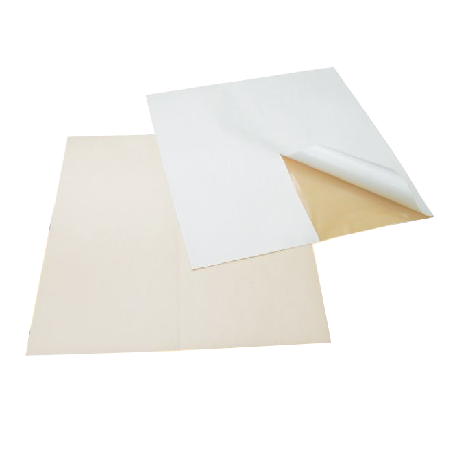 �������ѡӥ��������������ɥ����ȡʳ��л�����/ȩ����10������ˡ�[����ȯ�����ͥ��ݥ��оݾ���]