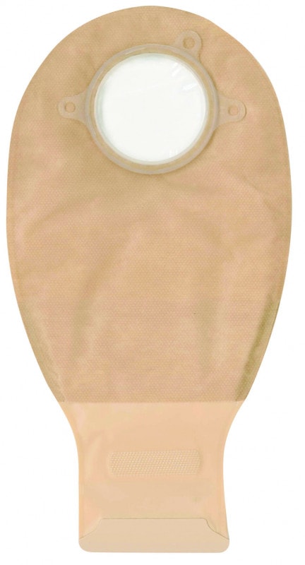 ʥץ饹ӥɥ쥤ѥǡˡ10硿Ȣ