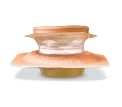 �ǥ��ء����֥ʥ���� C���եȥե�󥸥������ǥ����������ǡˡ�5�硿Ȣ