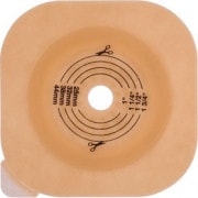 �˥塼���᡼����FWF������ǡˡ�5�硿Ȣ