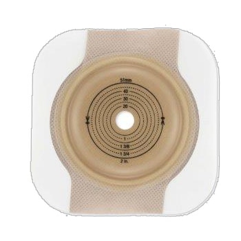 ���Ԥ����ġ�����ǡˡ�5�硿Ȣ