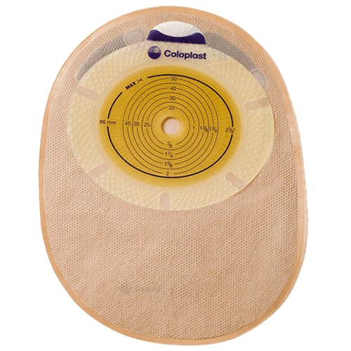 ���󥷥��1�������ݥ�������ǡˡ�10�硿Ȣ