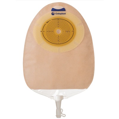 ���󥷥��1������Xpro������ǡˡ�10�硿Ȣ