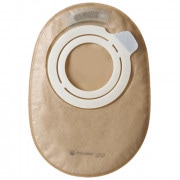 ���󥷥�顡�ե�å����ߥˡ�����ǡˡ�10�硿Ȣ