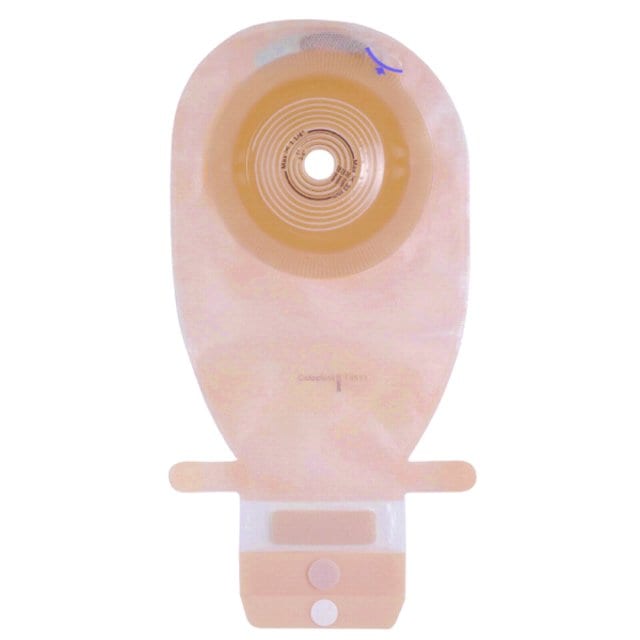 ������顡����ե�����LC���磻��EC������ǡˡ�10�硿Ȣ