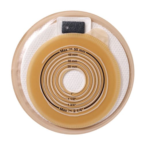 ˡߥ˥åסǡˡ10硿Ȣ