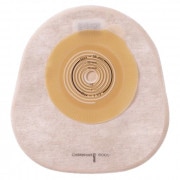 ������饭�å�������������������ǡˡ�10�硿Ȣ