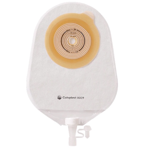 饭åХåǡˡ10硿Ȣ