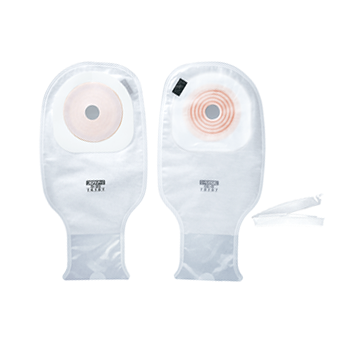 �ץ�������1���ե꡼���å�D������ǡˡ�10�硿Ȣ