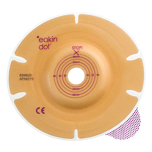 ��������ɥåȡ��ġ��ԡ���������٥å����١����ץ졼�ȡ�����ǡˡ�5�硿Ȣ