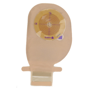 ��������ѥ������ե�åȡ��ɥ�ʥ֥������ǡˡ�30�硿Ȣ