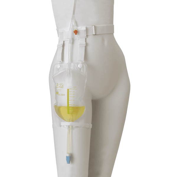 �桼��󡦥ߥˡ��Хå�������ǡ� 350ml���å� �ʥХå�4�硢�٥�ȥ��åȡˡ������鲼�����Ǣ�Хå�