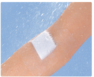 �ǥ�ޥݥ� 3�����2.5cm�ˡ�2����Ȣ