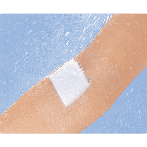 �ǥ�ޥݥ� 10�����10cm�ˡ�1����Ȣ