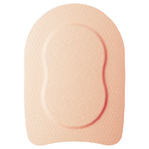 դPro19.814cm10硿Ȣ