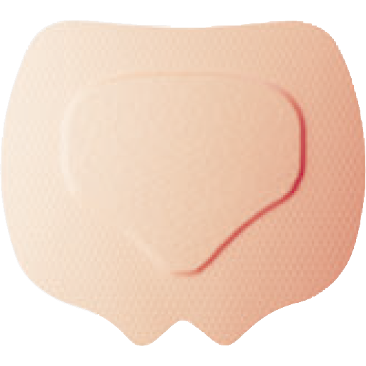 �դ�����Pro��24��21.5cm����5�硿Ȣ��