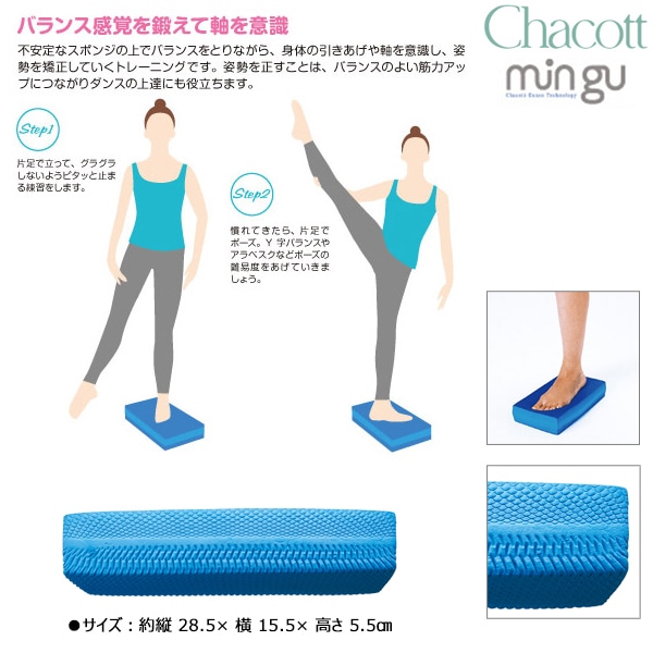 mingu ミングー　チャコット　バランスブロック　2個セット Chacott アクセサリー バランスブロック・ミングー【ラッピング可