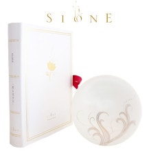 SIONE POTTERY BOOK HARE ����