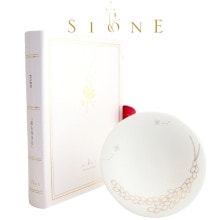 SIONE POTTERY BOOK HARE ��