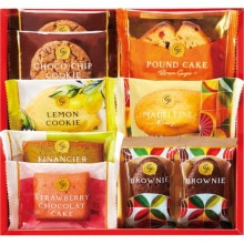 �ҤȤȤ� �������ĥե����ȥ꡼ SFC-10