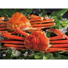 �ڥ᡼����ľ���ۥܥ��뤺�襤���˻�2����50�� 500��2