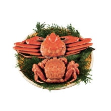 �ڥ᡼����ľ���ۤ��襤�����Ӥ���2�����å� 5035