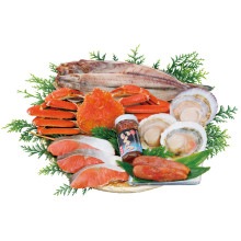 �ڥ᡼����ľ���ۿ����̳����������͹礻120 N120