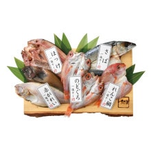 �ڥ᡼����ľ���ۤΤɤ������괳ʪ���åȡ��ݡ� YS-637