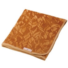 VOICE �ڤդ浪�뿲���å� VO1425