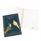 ڤȤꥫեضۥ󥰥ΡȡB5աᥤ󥳡ͥӡ椦ѥåб