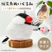 小鳥出品 Amazon.co.jp: adzu 鳥小屋 巣箱 鳥籠 アクリル 鳥かご