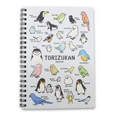 B6�Ρ��� ���Ȥꤺ���� ���椦�ѥ��å��б��� �Ρ��� �������� ������ ʸĻ ���ޥ��ʥ� ��BIRDSTORY�� 