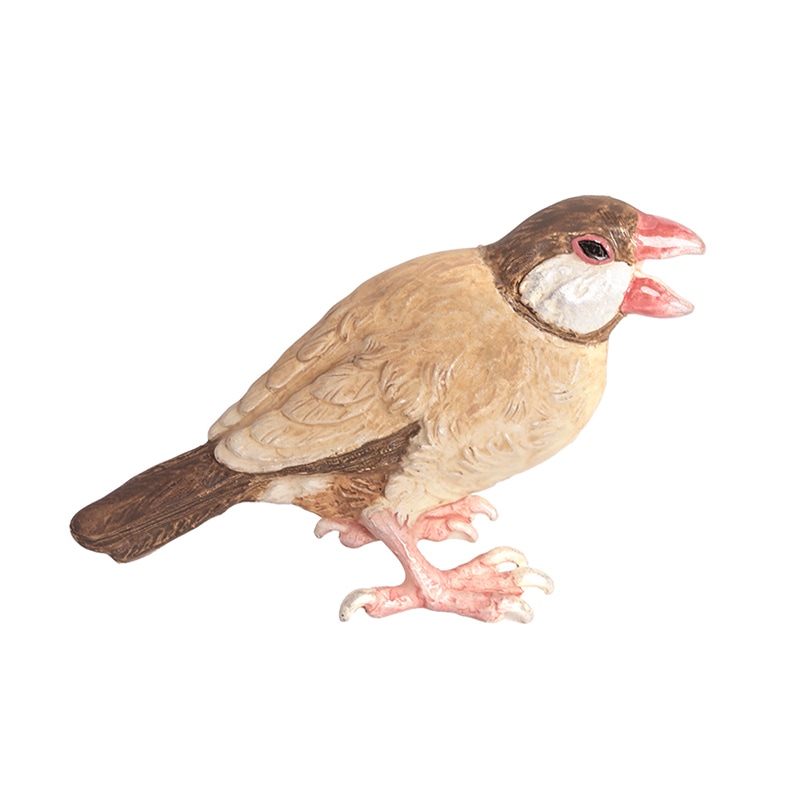 ブローチ ★文鳥ブローチ シナモン ◆ ゆうパケット対応 ◆ 【ブラフシューペリア】