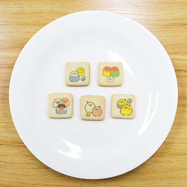 ��kotori smile�ۥ����������å���(5������)���������Τ�(Baby)�����������ᥤ�󥳡������������󥳡�ʸĻ