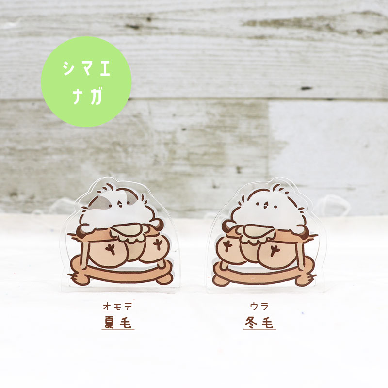 ことりのアクリルクリップ ★ ベイビー ◆ゆうパケット対応◆ アクリル クリップ スタンド メモ 文房具  インテリア オカメ セキセイ インコ 文鳥 シマエナガ しまえなが【ことりすまいる】