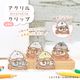 ことりのアクリルクリップ ★ ベイビー ◆ゆうパケット対応◆ アクリル クリップ スタンド メモ 文房具  インテリア オカメ セキセイ インコ 文鳥 シマエナガ しまえなが【ことりすまいる】