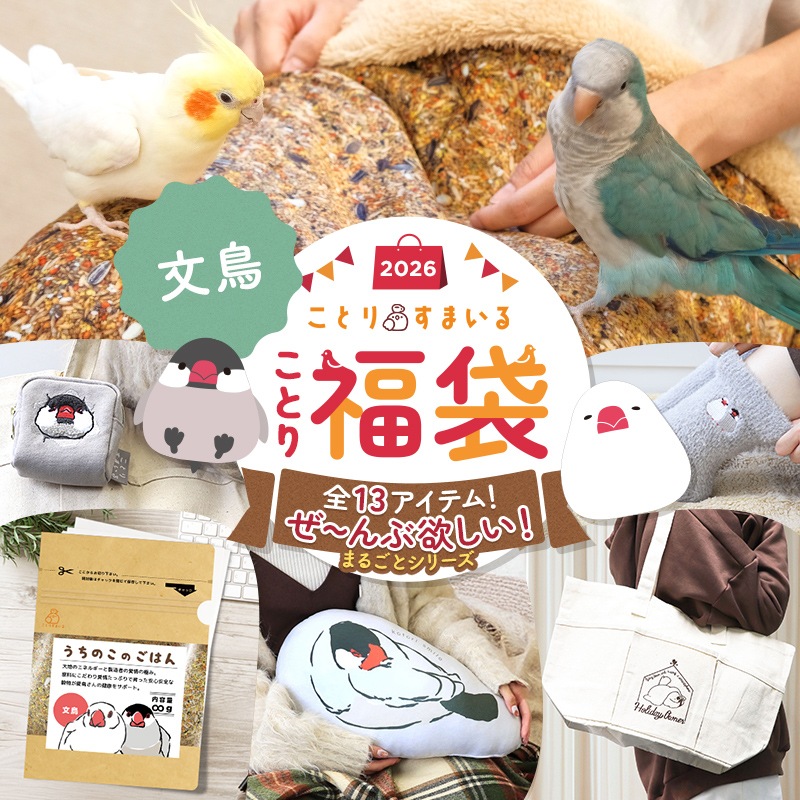 �ڶ۵��ɲ����䡪�ۡ����̸��꡿���Ȥ�ʡ��2026����������ߤ������ޤ뤴�ȥ��꡼�� ʸĻ ��13�����åȡ���Ļ���å� ��Ļ���� ���� ʡ�� �ϥåԡ��Хå� �ϥåԡ��ѥå� �ߤ�ʡ�� �ץ쥼��� ���ե� ������ ������� 2025ǯ ʡ�� 2026ǯ �ߵ�